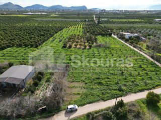 Αγροτεμάχια 9.000 τ.μ. για πώληση, Αργολίδα, Άργος-thumb-11