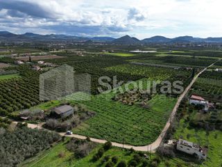 Αγροτεμάχια 9.000 τ.μ. για πώληση, Αργολίδα, Άργος-thumb-9
