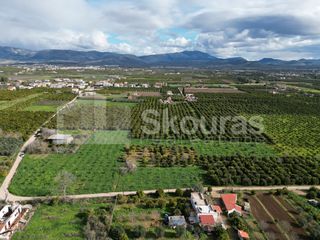 Αγροτεμάχια 9.000 τ.μ. για πώληση, Αργολίδα, Άργος-thumb-5