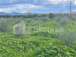 Αγροτεμάχια 9.000 τ.μ. για πώληση, Αργολίδα, Άργος-thumb-6