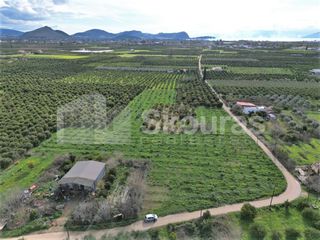 Αγροτεμάχια 9.000 τ.μ. για πώληση, Αργολίδα, Άργος-thumb-2