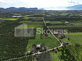 Αγροτεμάχια 9.000 τ.μ. για πώληση, Αργολίδα, Άργος-thumb-7