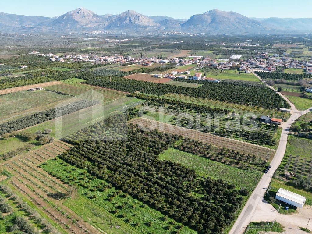 Αγροτεμάχια 10.000 τ.μ. προς πώληση, Κουτσοπόδι