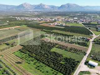Αγροτεμάχια 10.000 τ.μ. για πώληση, Αργολίδα, Κουτσοπόδι-thumb-2