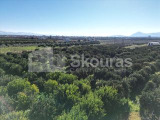 Αγροτεμάχια 10.000 τ.μ. για πώληση, Αργολίδα, Κουτσοπόδι-thumb-20