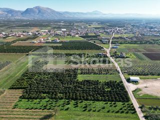 Αγροτεμάχια 10.000 τ.μ. για πώληση, Αργολίδα, Κουτσοπόδι-thumb-11