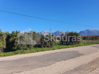 Αγροτεμάχια 10.000 τ.μ. για πώληση, Αργολίδα, Κουτσοπόδι-thumb-6
