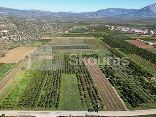 Αγροτεμάχια 10.000 τ.μ. για πώληση, Αργολίδα, Κουτσοπόδι-thumb-1