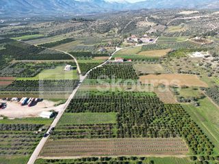 Αγροτεμάχια 10.000 τ.μ. για πώληση, Αργολίδα, Κουτσοπόδι-thumb-24
