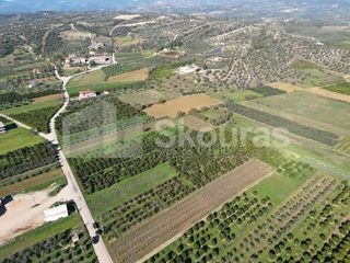 Αγροτεμάχια 10.000 τ.μ. για πώληση, Αργολίδα, Κουτσοπόδι-thumb-16