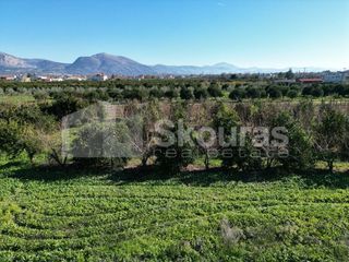 Αγροτεμάχια 10.000 τ.μ. για πώληση, Αργολίδα, Κουτσοπόδι-thumb-23