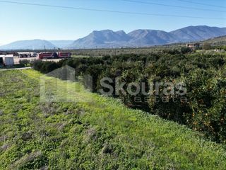 Αγροτεμάχια 10.000 τ.μ. για πώληση, Αργολίδα, Κουτσοπόδι-thumb-3