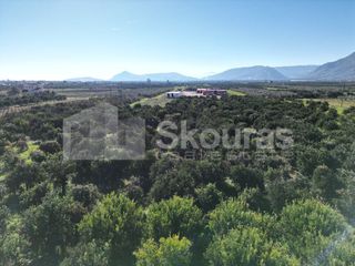 Αγροτεμάχια 10.000 τ.μ. για πώληση, Αργολίδα, Κουτσοπόδι-thumb-21