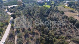 Αγροτεμάχια 4.000 τ.μ. για πώληση, Αργολίδα, Μυκήνες-thumb-7
