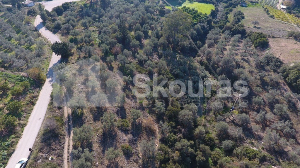 Αγροτεμάχια 4.000 τ.μ. προς πώληση, Μπόρσας