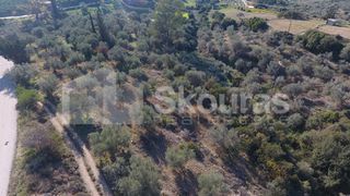 Αγροτεμάχια 4.000 τ.μ. για πώληση, Αργολίδα, Μυκήνες-thumb-9