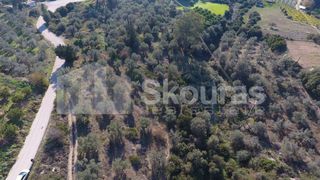 Αγροτεμάχια 4.000 τ.μ. για πώληση, Αργολίδα, Μυκήνες-thumb-22