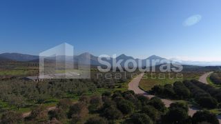 Αγροτεμάχια 4.000 τ.μ. για πώληση, Αργολίδα, Μυκήνες-thumb-19