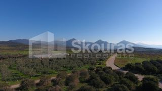 Αγροτεμάχια 4.000 τ.μ. για πώληση, Αργολίδα, Μυκήνες-thumb-22