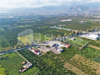 Οικόπεδο 4.086 τ.μ. για πώληση, Αργολίδα, Άργος-thumb-13