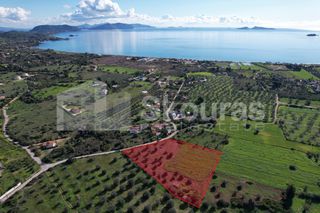 Αγροτεμάχια 5.600 τ.μ. για πώληση