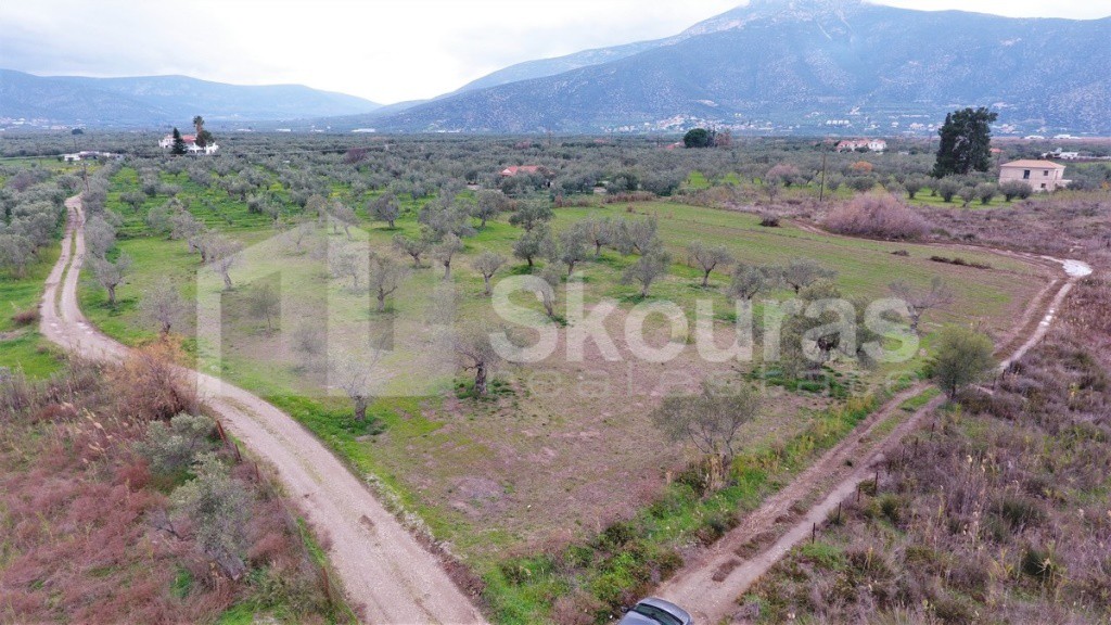 Οικόπεδο 4.260 τ.μ. προς πώληση, Παράλιο Άστρος