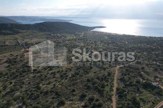 Οικόπεδο 703,94 τ.μ. για πώληση, Αργολίδα, Κρανίδι-thumb-21