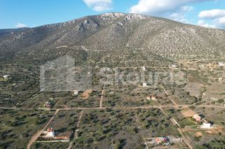 Οικόπεδο 703,94 τ.μ. για πώληση, Αργολίδα, Κρανίδι-thumb-23