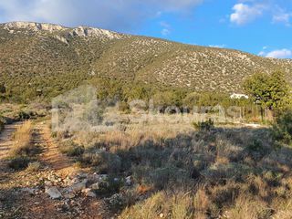 Οικόπεδο 703,94 τ.μ. για πώληση, Αργολίδα, Κρανίδι-thumb-8