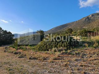 Οικόπεδο 703,94 τ.μ. για πώληση, Αργολίδα, Κρανίδι-thumb-15