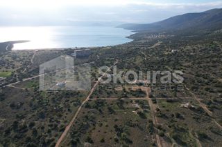 Οικόπεδο 703,94 τ.μ. για πώληση, Αργολίδα, Κρανίδι-thumb-16