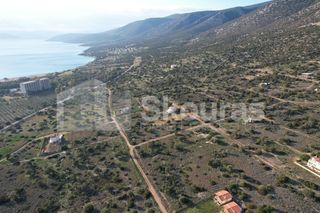 Οικόπεδο 703,94 τ.μ. για πώληση, Αργολίδα, Κρανίδι-thumb-22