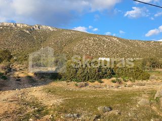 Οικόπεδο 703,94 τ.μ. για πώληση, Αργολίδα, Κρανίδι-thumb-14