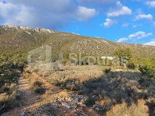 Οικόπεδο 703,94 τ.μ. για πώληση, Αργολίδα, Κρανίδι-thumb-11