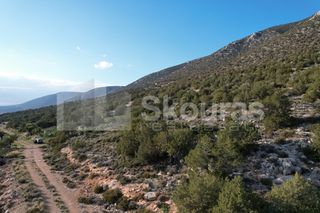 Οικόπεδο 688 τ.μ. για πώληση, Αργολίδα, Κρανίδι-thumb-23
