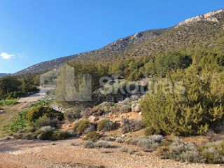 Οικόπεδο 688 τ.μ. για πώληση, Αργολίδα, Κρανίδι-thumb-7