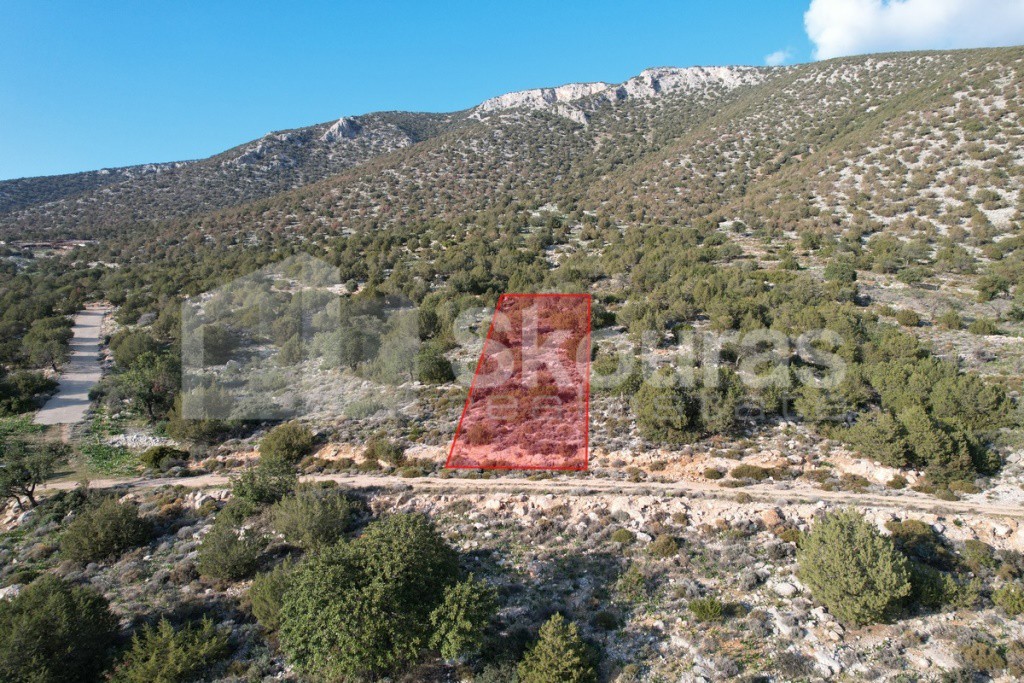 Οικόπεδο 688 τ.μ. προς πώληση, Σαλάντι