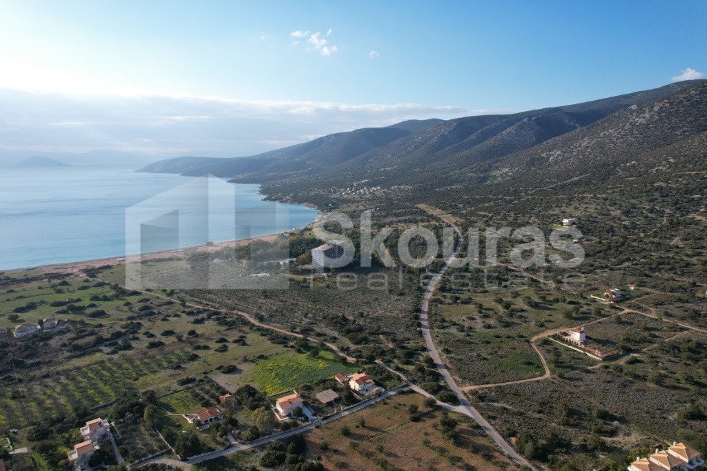 Οικόπεδο 688 τ.μ. προς πώληση, Σαλάντι