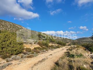 Οικόπεδο 688 τ.μ. για πώληση, Αργολίδα, Κρανίδι-thumb-14