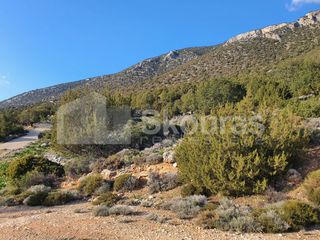 Οικόπεδο 688 τ.μ. για πώληση, Αργολίδα, Κρανίδι-thumb-17