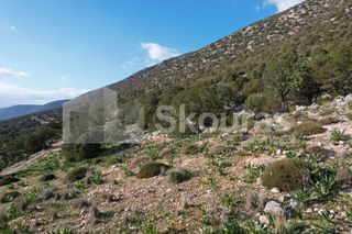 Οικόπεδο 1.285 τ.μ. για πώληση, Αργολίδα, Κρανίδι-thumb-12