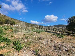 Οικόπεδο 1.285 τ.μ. για πώληση, Αργολίδα, Κρανίδι-thumb-22