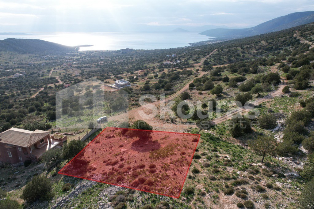 Οικόπεδο 1.285 τ.μ. προς πώληση, Σαλάντι
