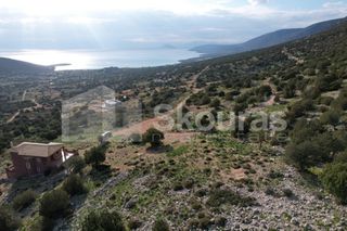 Οικόπεδο 1.285 τ.μ. για πώληση, Αργολίδα, Κρανίδι-thumb-3
