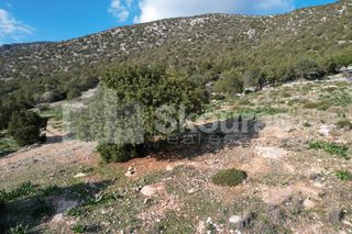 Οικόπεδο 1.285 τ.μ. για πώληση, Αργολίδα, Κρανίδι-thumb-16