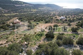 Οικόπεδο 1.285 τ.μ. για πώληση, Αργολίδα, Κρανίδι-thumb-19