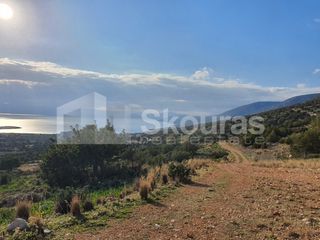 Οικόπεδο 1.285 τ.μ. για πώληση, Αργολίδα, Κρανίδι-thumb-20