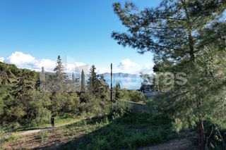 Οικόπεδο 970 τ.μ. για πώληση, Αργολίδα, Κρανίδι-thumb-8