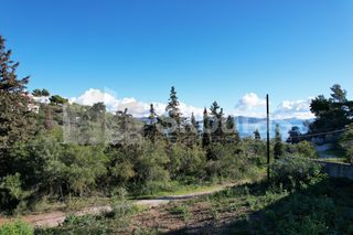 Οικόπεδο 970 τ.μ. για πώληση, Αργολίδα, Κρανίδι-thumb-15