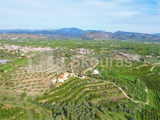 Αγροτεμάχια 6.550 τ.μ. για πώληση, Αργολίδα, Ασίνη-thumb-23